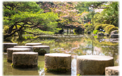 Module 10 — Explore Your Untapped Potential