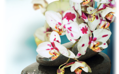 Module 5 — Our Choices and Their Outcomes